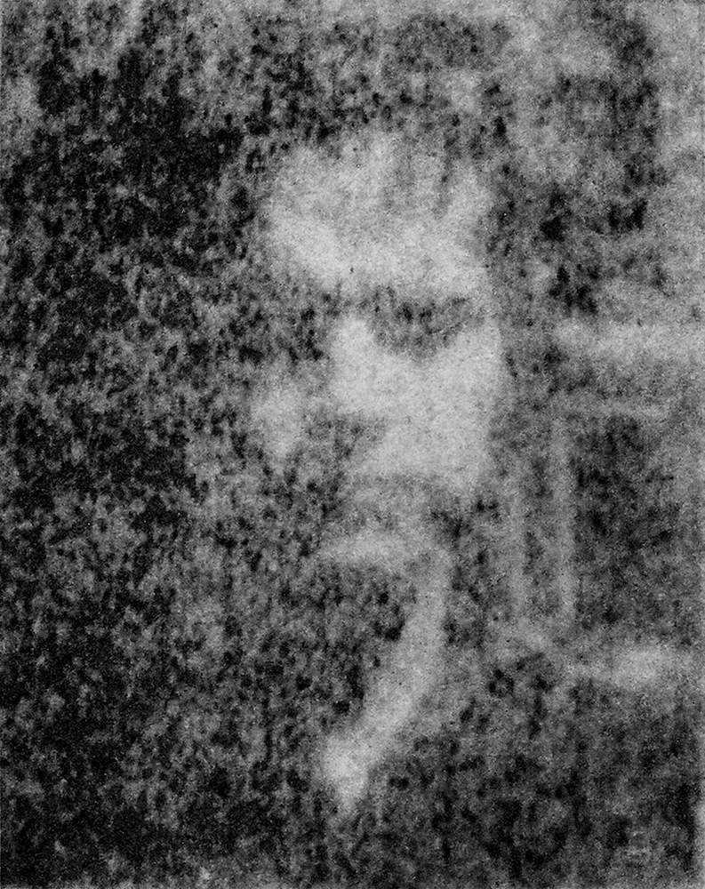 Degradation Portrait