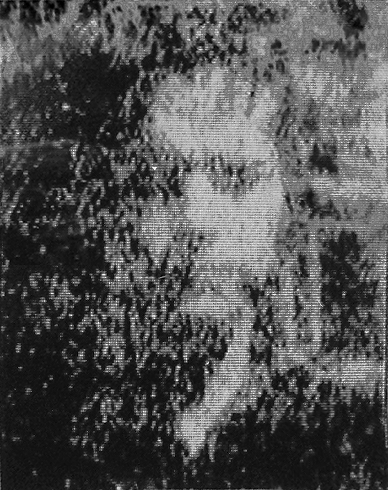 Degradation Portrait