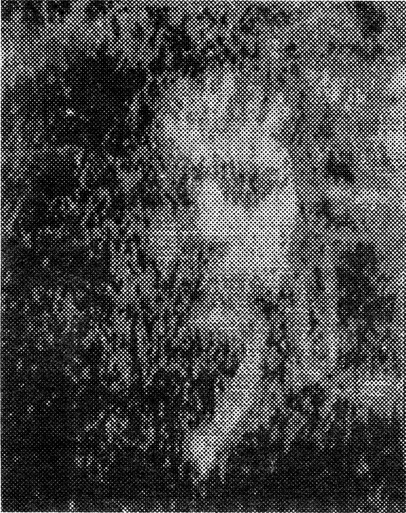 Degradation Portrait