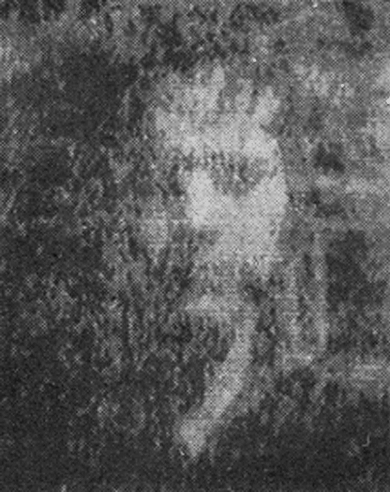 Degradation Portrait