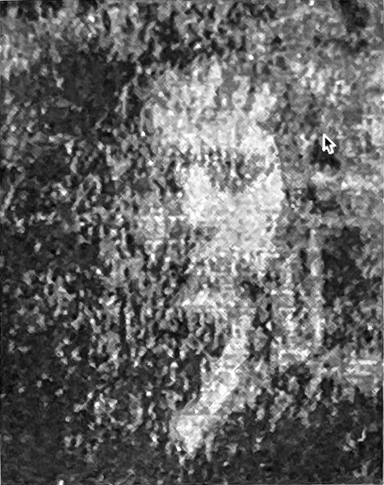 Degradation Portrait