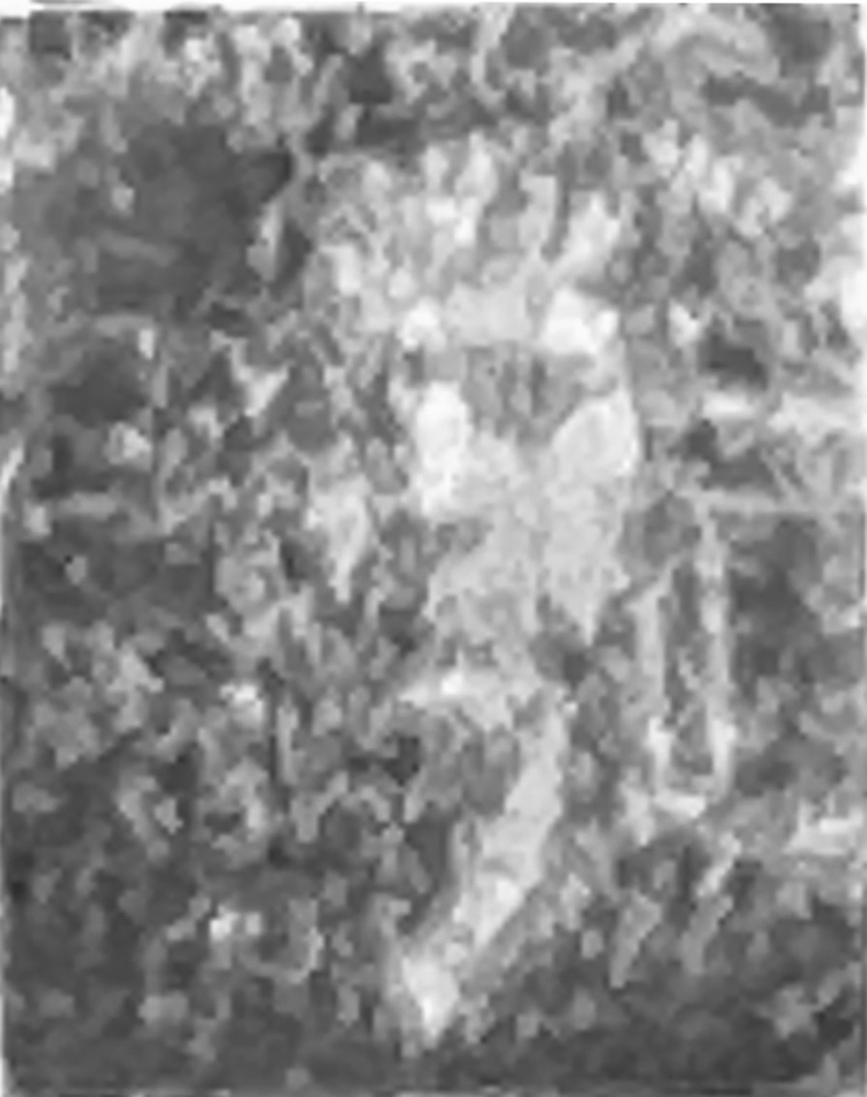 Degradation Portrait