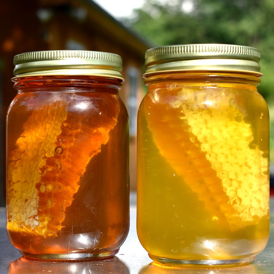 Comb Honey