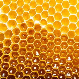 The Honeycomb