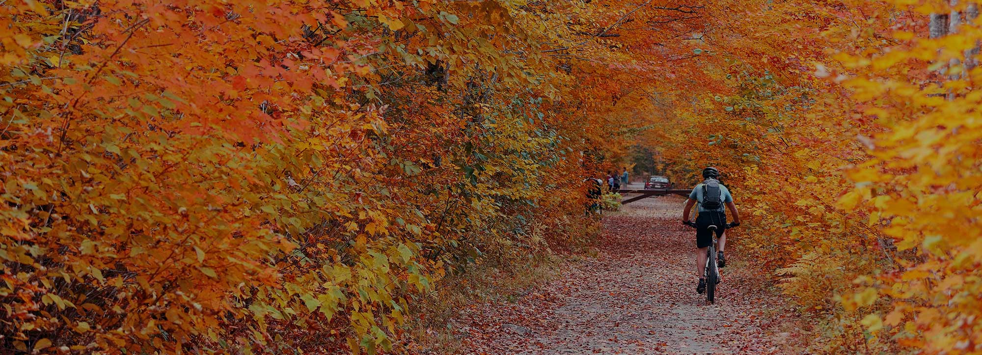 Bike along our Beautiful Shoreline