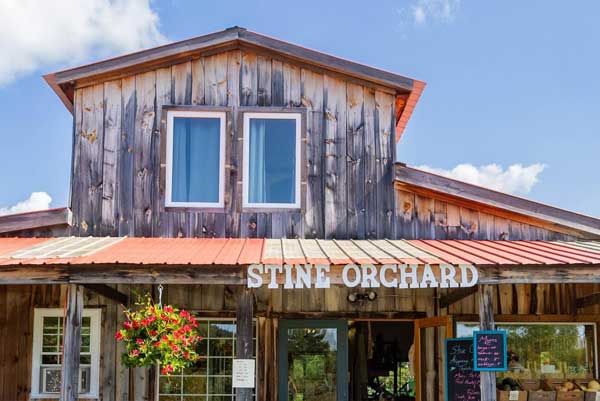 Apple Picking & Live Fall Festivities at Stine Orchard