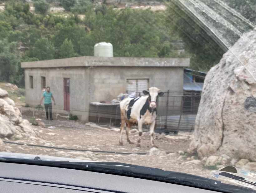 Tarek still going in Lebanon