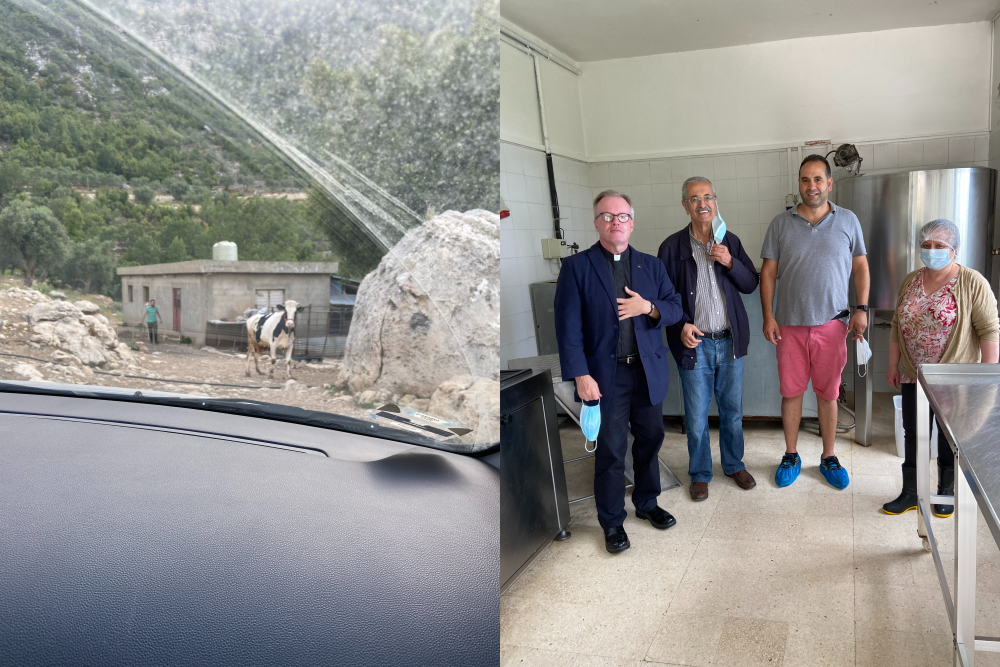 Update on Lebanese businesses